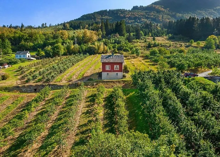 The Queen Path Right From The House